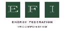 EFI Logo